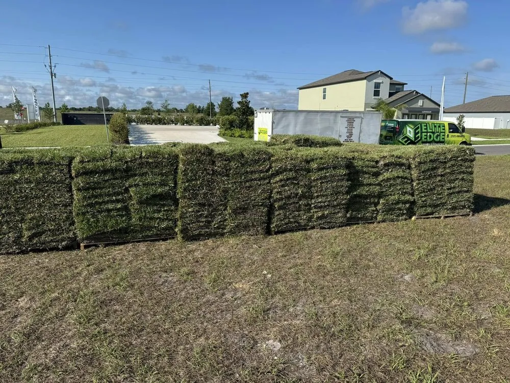 Custom garden landscaping experts serving Spring Hill, FL - Elite Edge Lawn Services