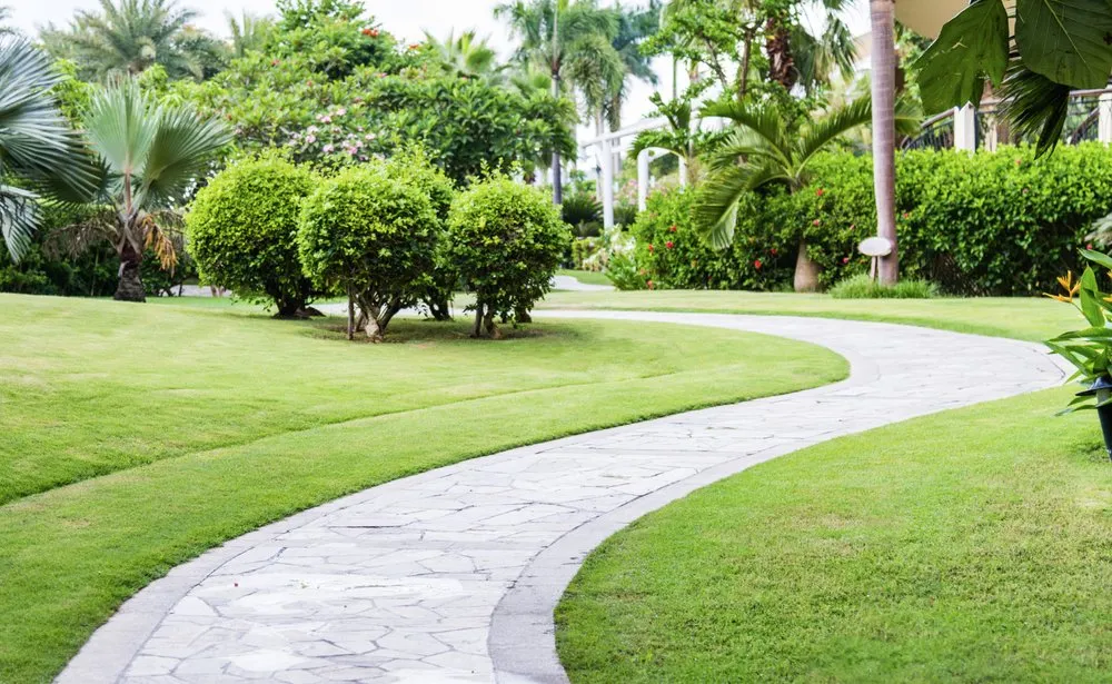 Expert yard maintenance with custom design in North Port, FL by Elite Edge Pavers