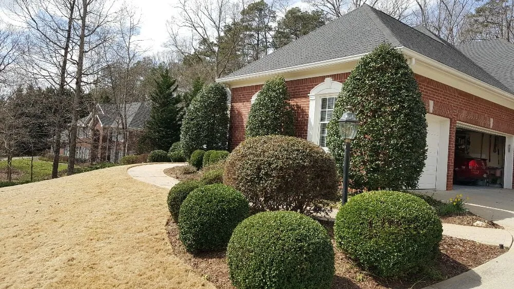 Expert garden landscaping in Buford, GA by Elite Environments