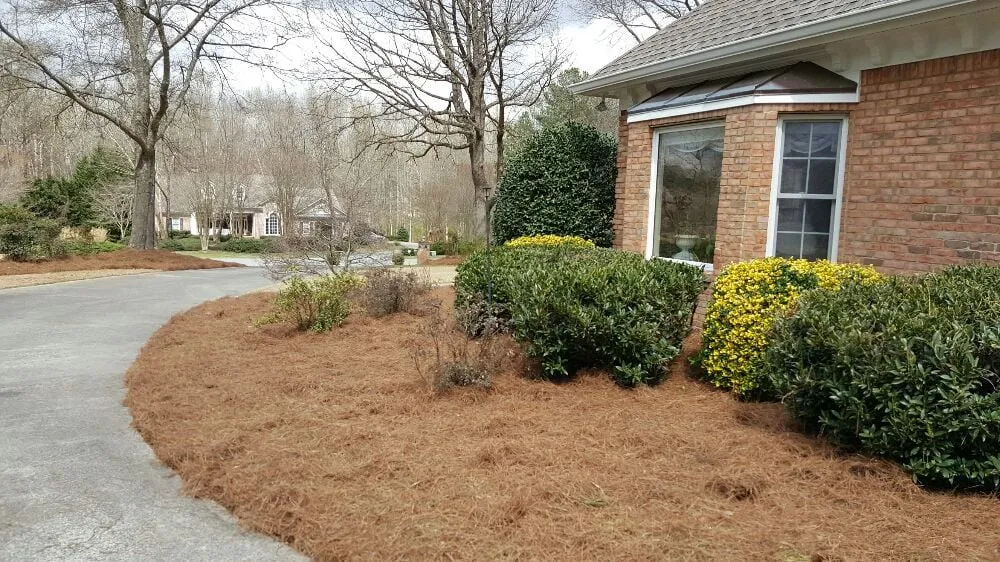 Expert landscape design experts serving Buford, GA - Elite Environments
