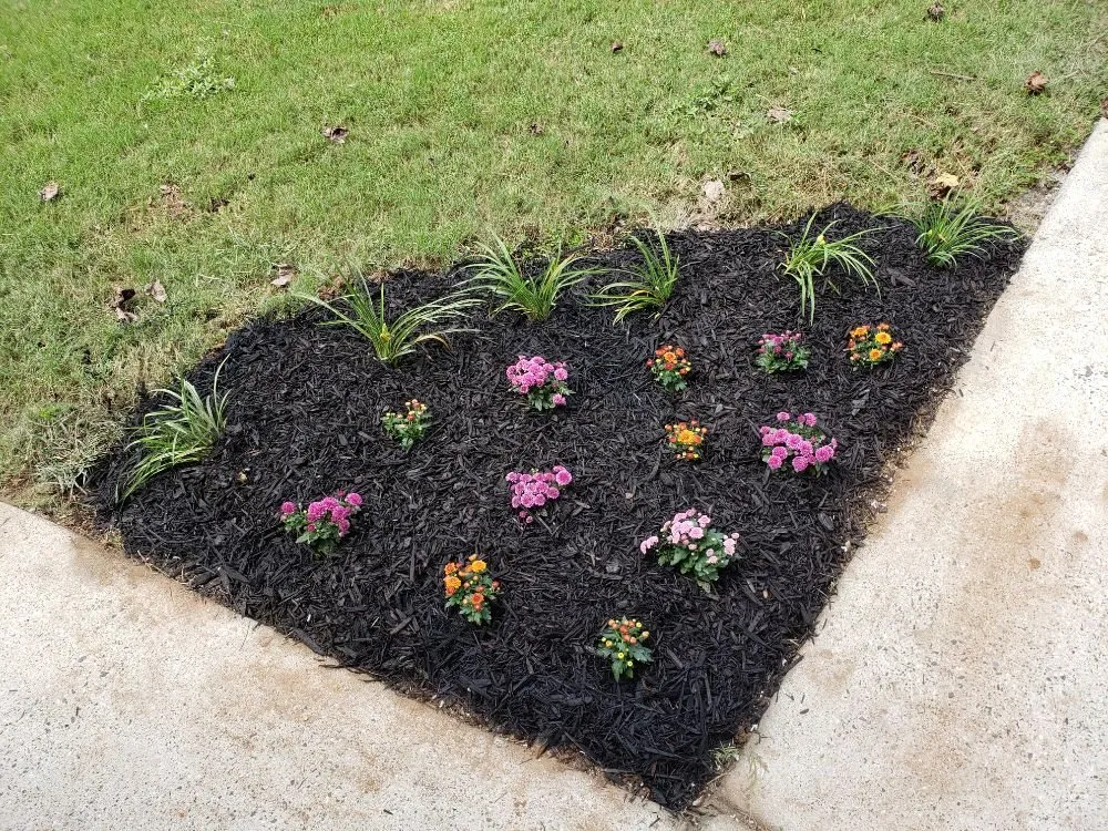 Trusted landscaping services for year-round maintenance in Buford, GA by Elite Environments