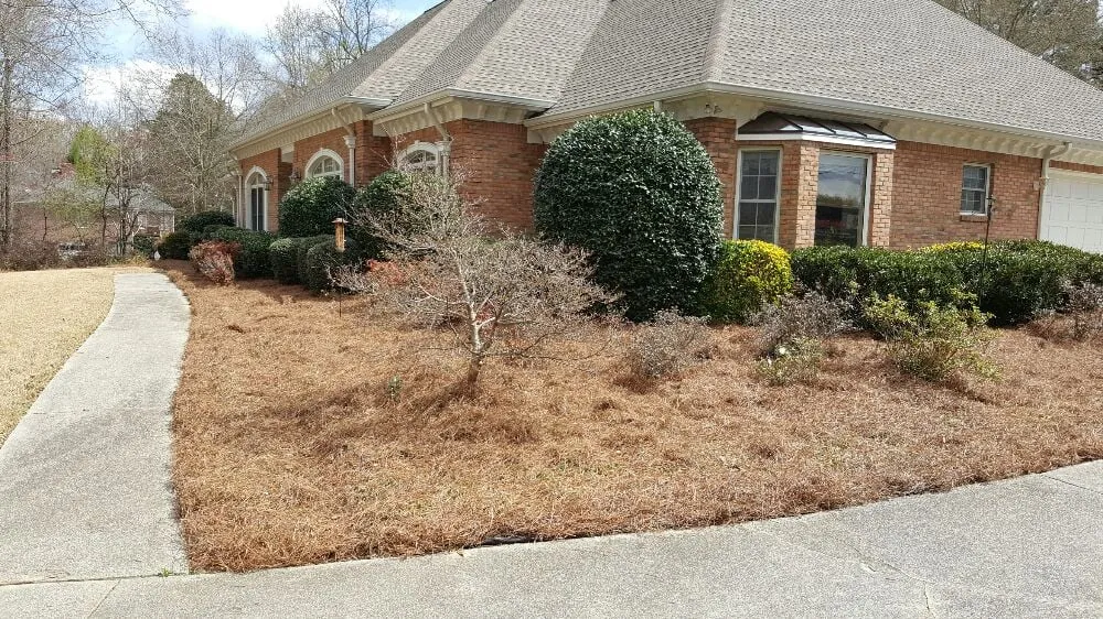 Trusted residential landscaping for year-round maintenance across Buford, GA - Elite Environments