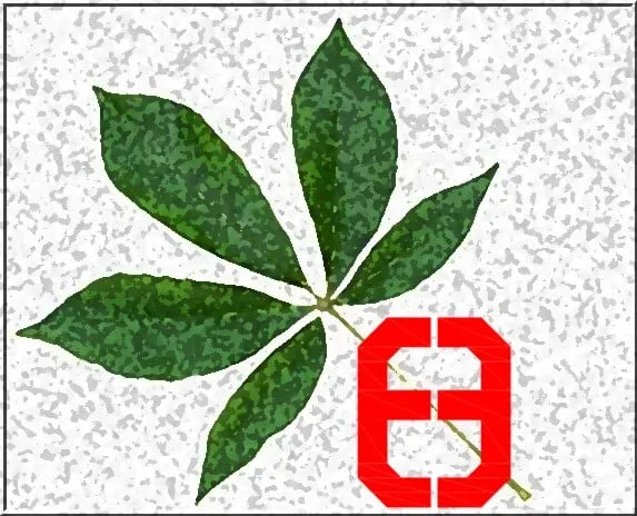 Affordable outdoor landscaping for year-round maintenance in Buford, GA by Elite Environments