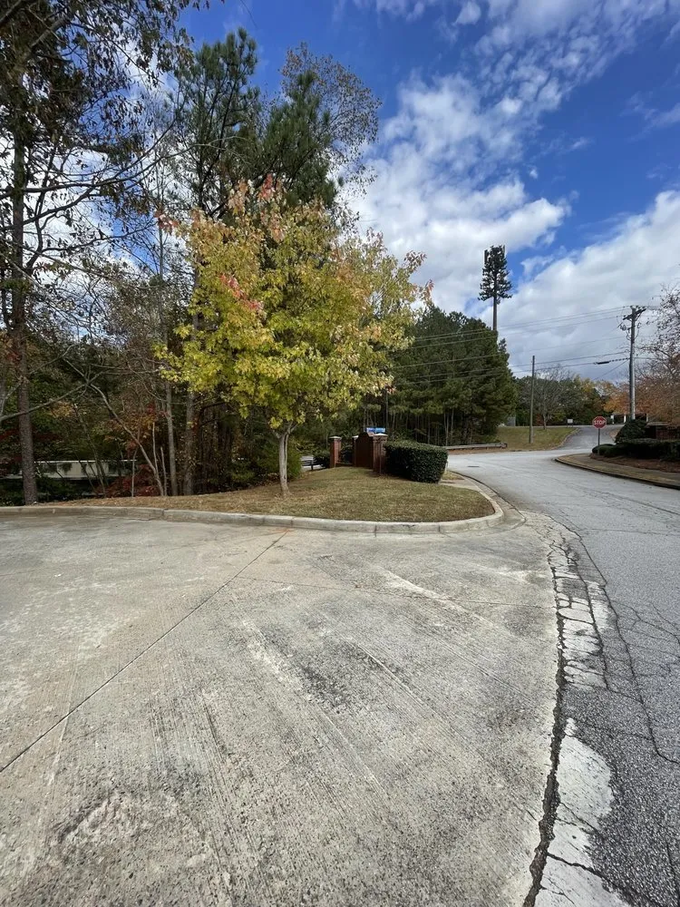 Top-rated landscape design for residential properties across Lawrenceville, GA - Elite Estate Landscaping