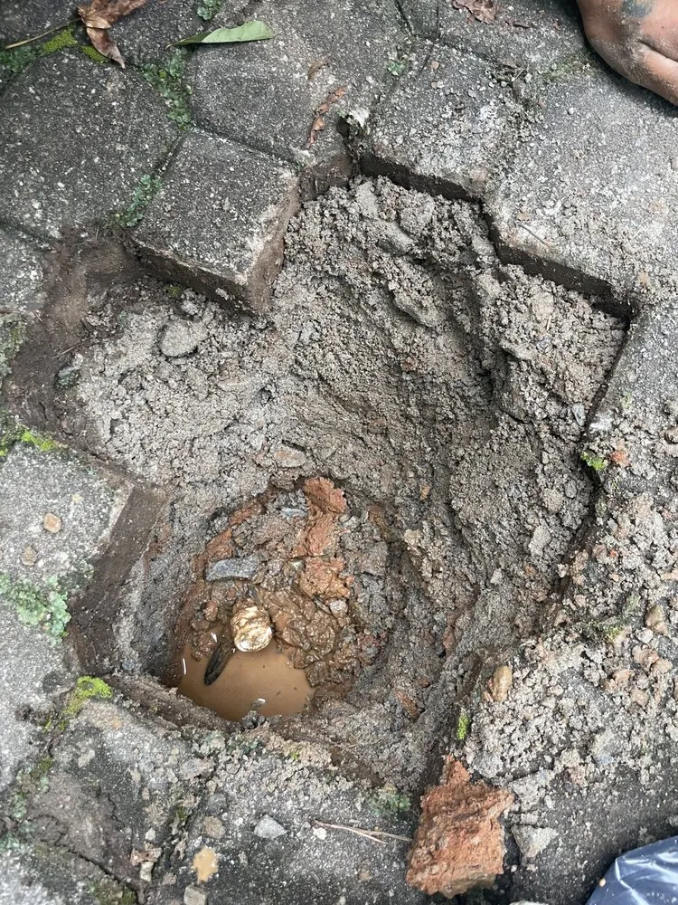 Professional landscape installation with custom design in Lawrenceville, GA by Elite Estate Landscaping