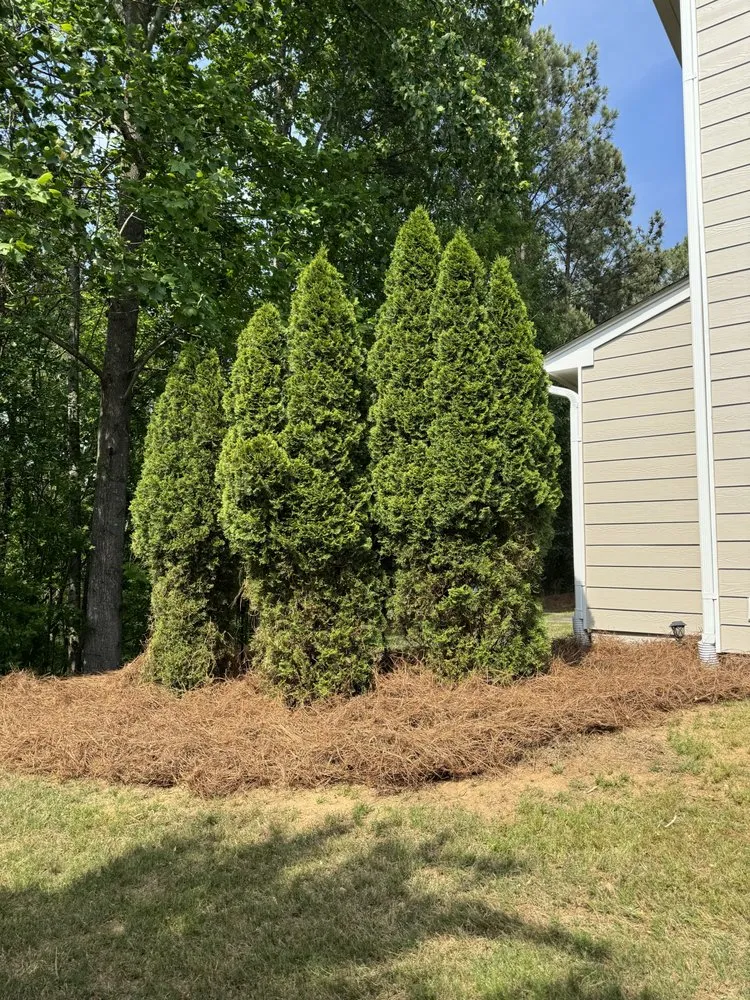 Professional lawn care service for outdoor upgrades in Lawrenceville, GA by Elite Estate Landscaping