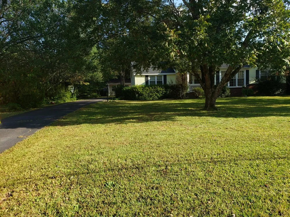 Affordable yard maintenance in Simpsonville, SC by Elite Estate Services