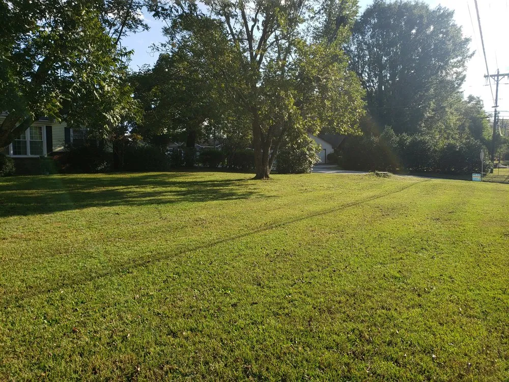 Reliable lawn care service for year-round maintenance in Simpsonville, SC by Elite Estate Services