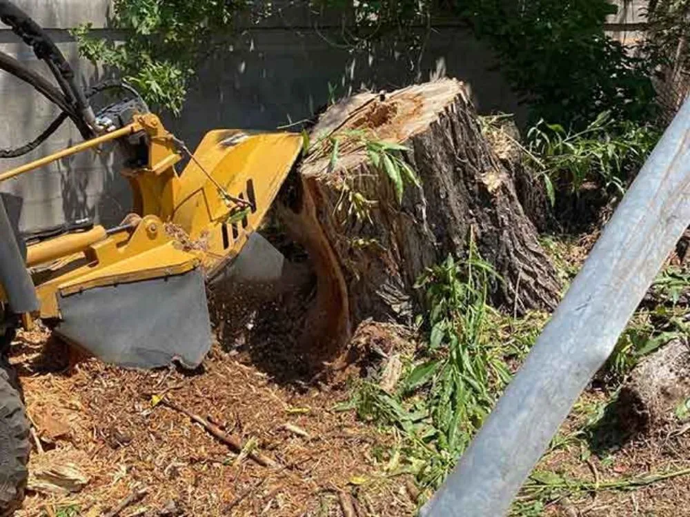 Affordable garden landscaping in Simpsonville, SC by Elite Estate Services