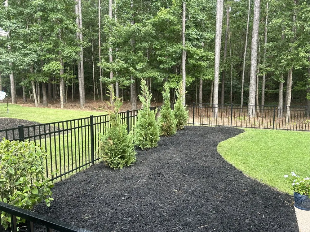 Professional landscape design in Bluffton, SC - Elite Estates Landscape