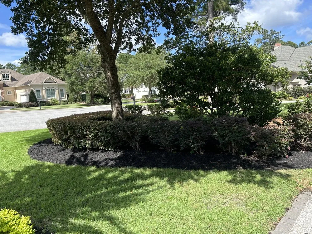 Top-rated yard maintenance for year-round maintenance in Bluffton, SC by Elite Estates Landscape