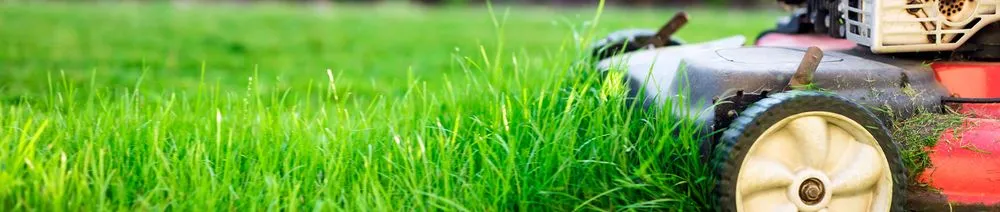 Local yard maintenance with custom design across Ashville, AL - Elite Excavating