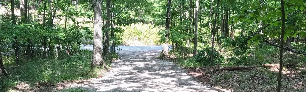 Professional yard maintenance in Ashville, AL by Elite Excavating