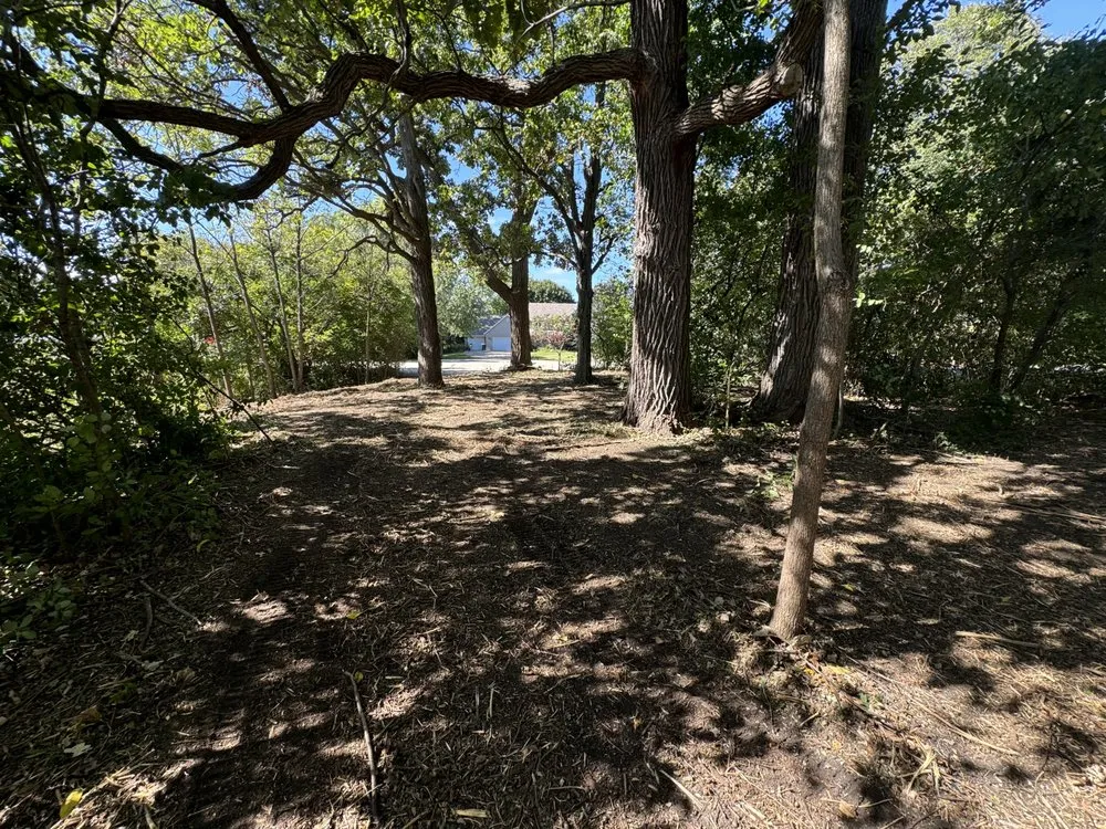 Custom yard maintenance for homes across Salem, WI - Elite excavation