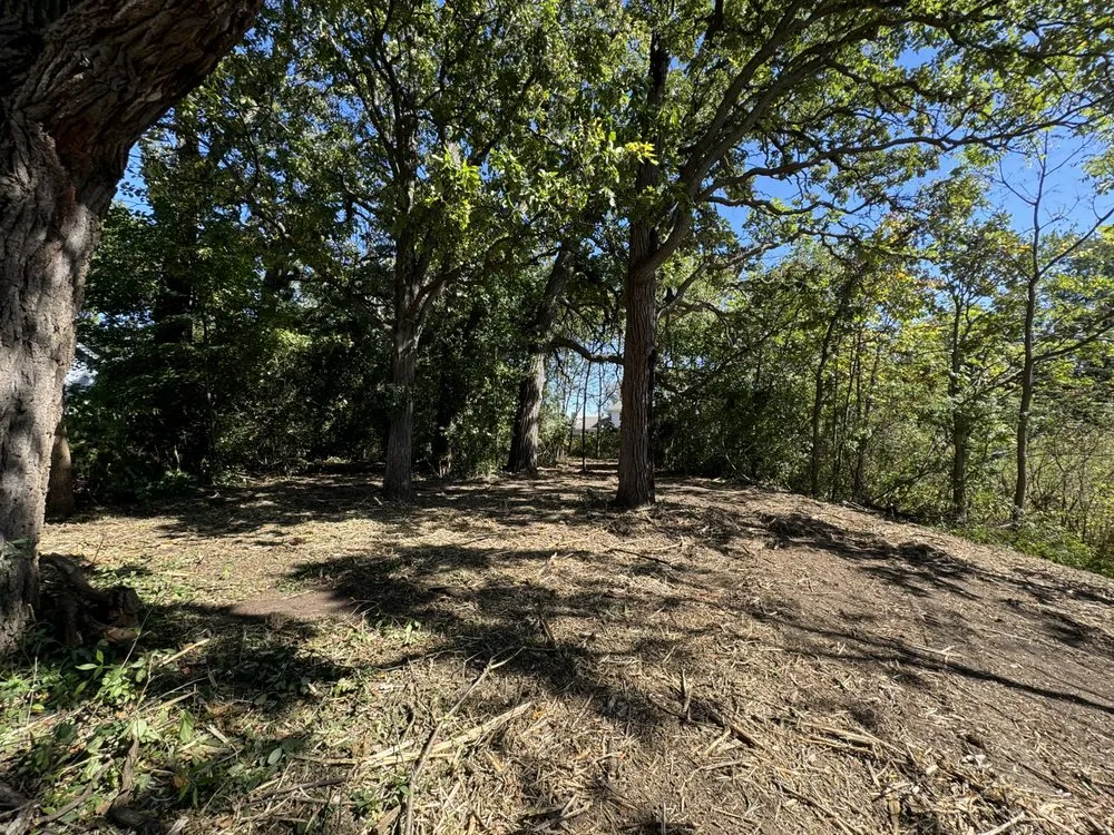 Trusted garden landscaping in Salem, WI by Elite excavation