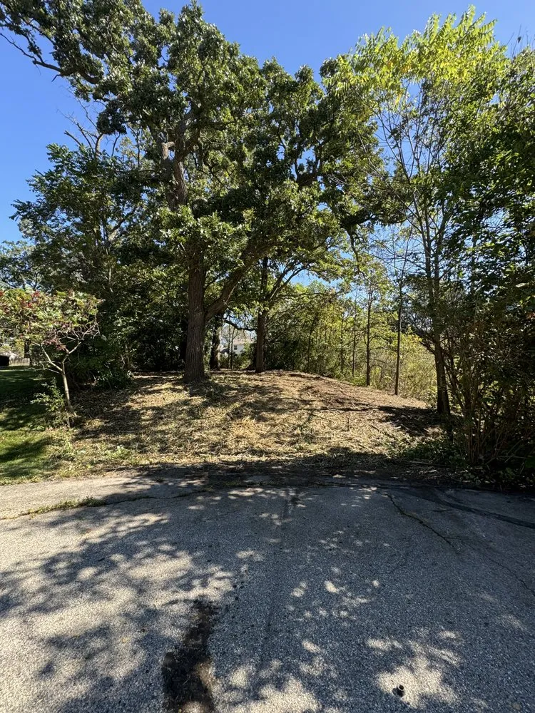 Top-rated landscape installation for year-round maintenance in Salem, WI by Elite excavation