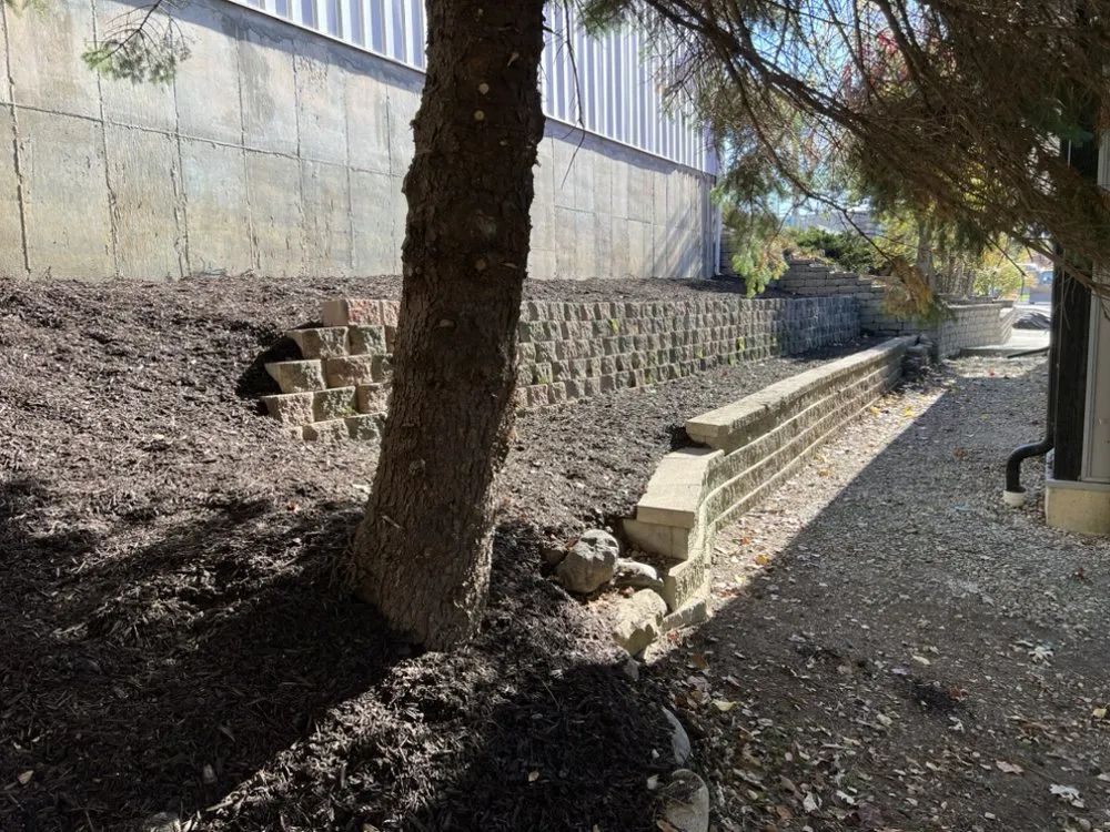 Expert lawn mowing service near you across Salem, WI - Elite excavation