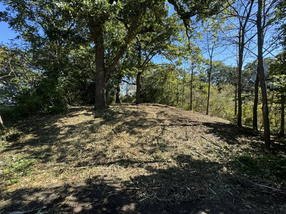 Trusted lawn mowing service experts serving Salem, WI - Elite excavation