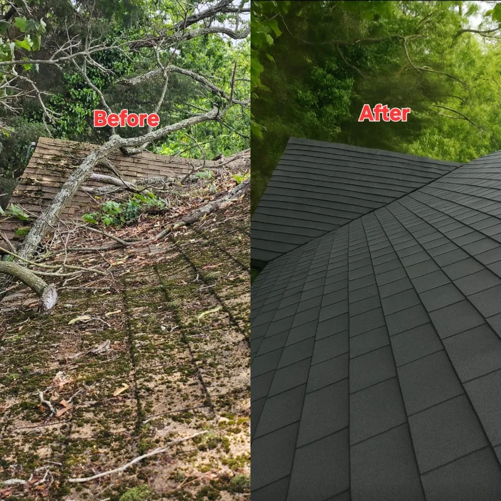 Affordable landscape installation with custom design in Margate City, NJ by Elite Exterior Contracting