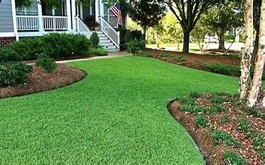 Custom yard cleanup service near you in Warrenville, SC by Elite Exterior