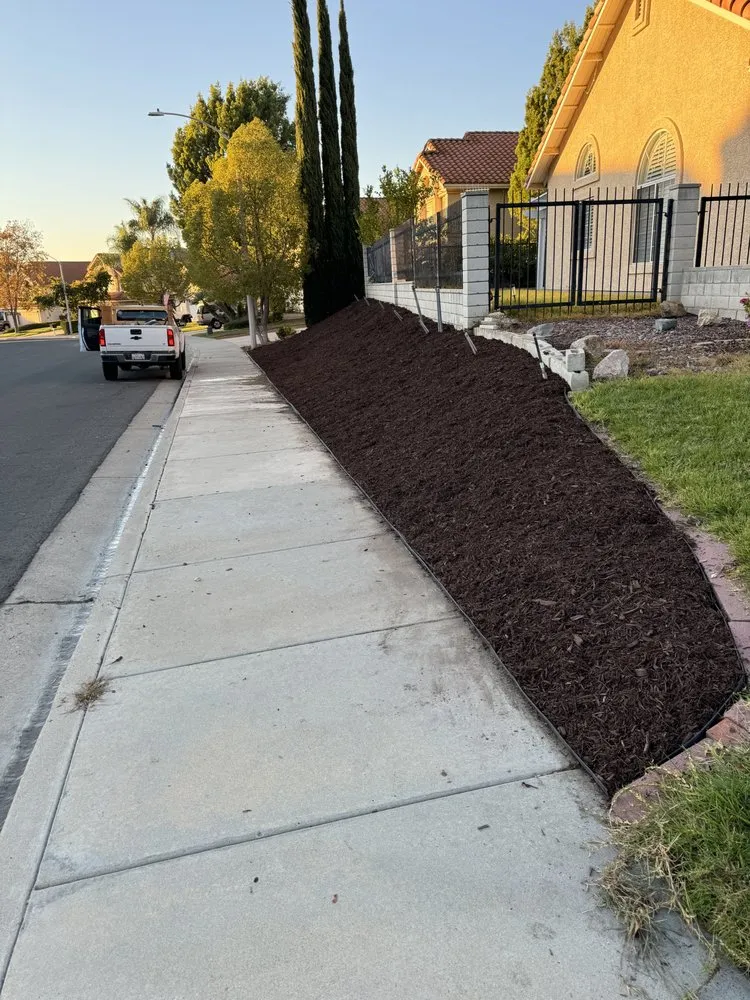 Expert residential landscaping for beautiful yards across Temecula, CA - Elite Exteriors & Hauling