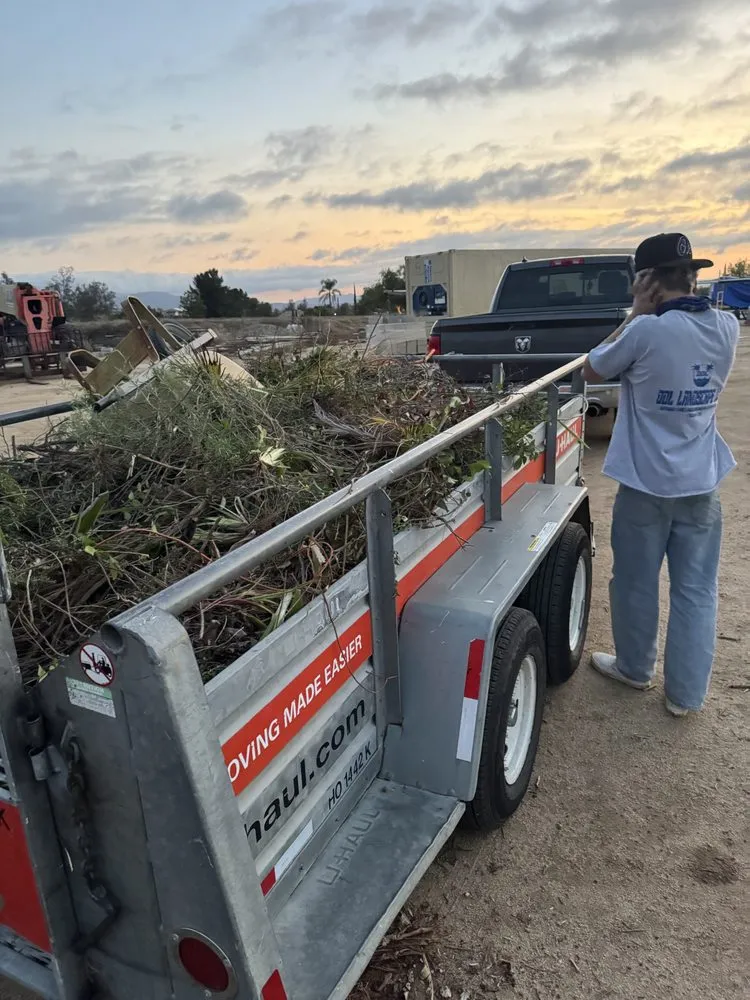 Top-rated yard cleanup service for outdoor upgrades in Temecula, CA by Elite Exteriors & Hauling