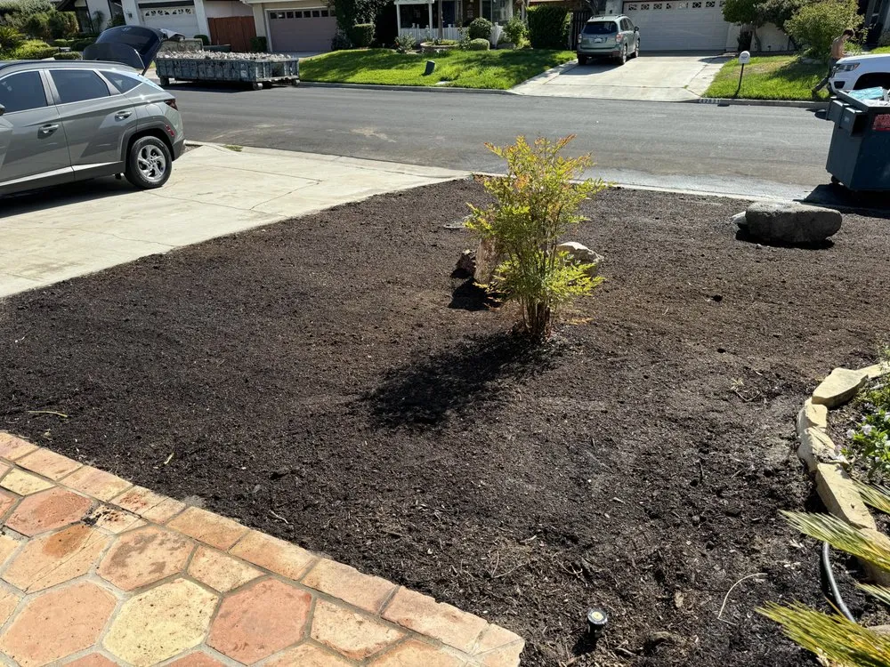 Professional yard maintenance in Temecula, CA - Elite Exteriors & Hauling