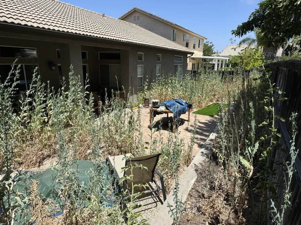 Local lawn mowing service experts serving Temecula, CA - Elite Exteriors & Hauling