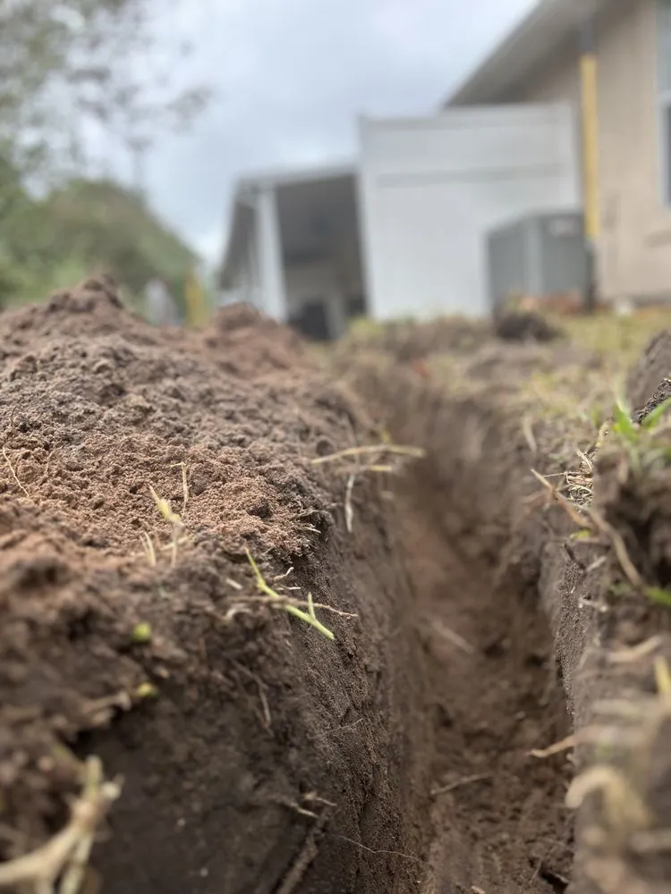 Local yard cleanup service for homes in Jacksonville, FL by Elite Exteriors of North Florida