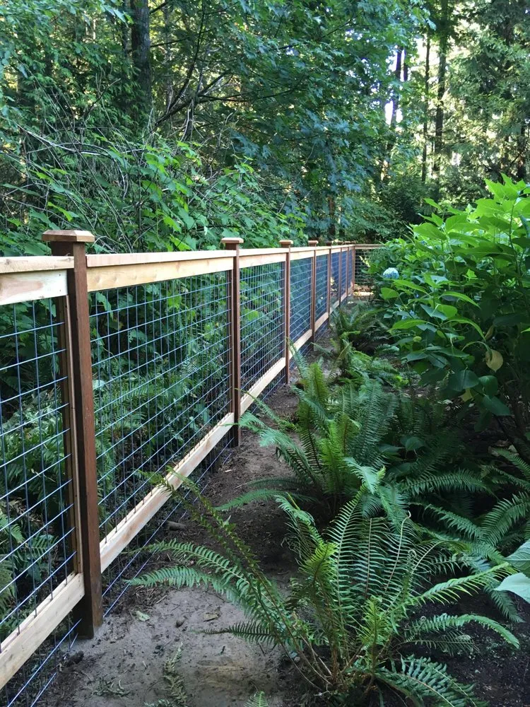 Affordable lawn care service in Silverdale, WA - Elite Fencing and Landscaping