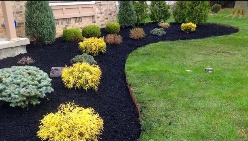 Local yard cleanup service in Slidell, LA by Elite Fine Touch Cleaning Services