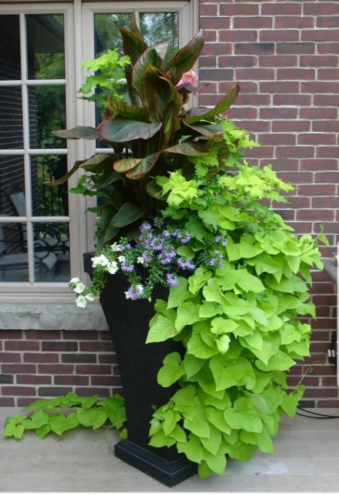 Custom outdoor landscaping for beautiful yards in New York, NY by ELITE FLOWERS BY SOLID GOLD