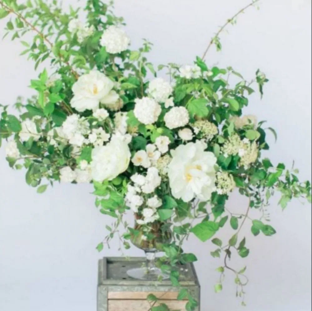 Professional yard cleanup service experts serving New York, NY - ELITE FLOWERS BY SOLID GOLD