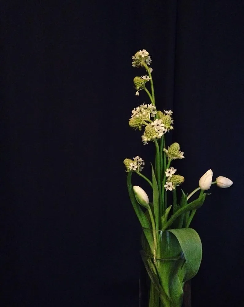 Trusted residential landscaping in New York, NY by ELITE FLOWERS BY SOLID GOLD