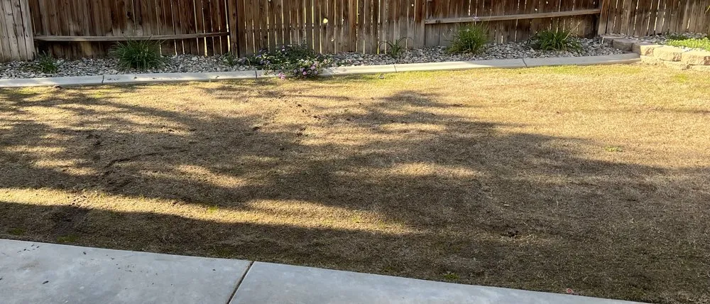 Expert residential landscaping for year-round maintenance in Bakersfield, CA by Elite Garden and Landscape