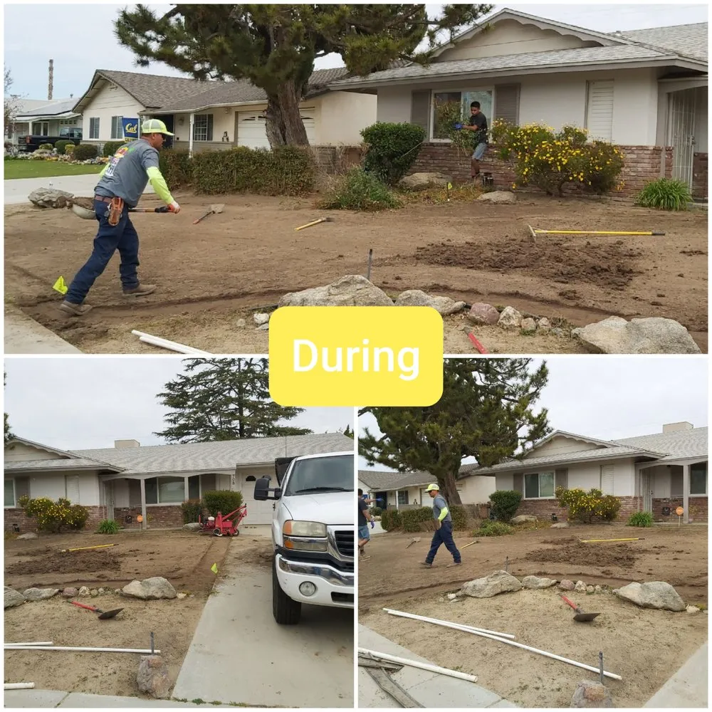 Professional yard cleanup service near you in Bakersfield, CA by Elite Garden and Landscape