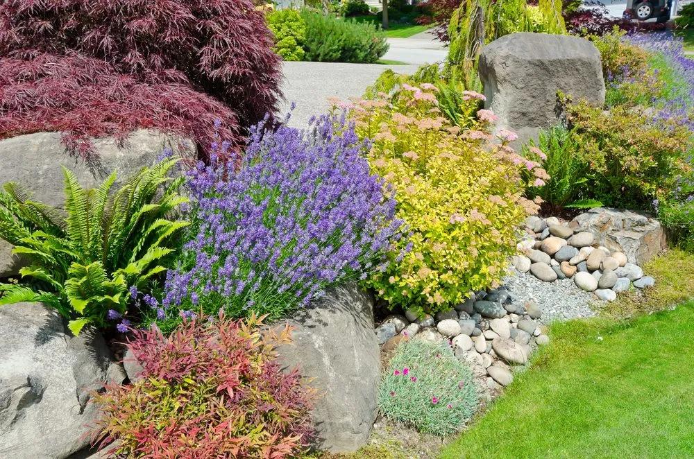 Local residential landscaping near you in Bakersfield, CA by Elite Garden and Landscape