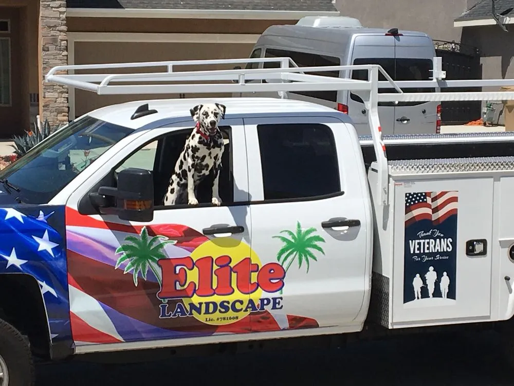 Local yard cleanup service for beautiful yards in Bakersfield, CA by Elite Garden and Landscape