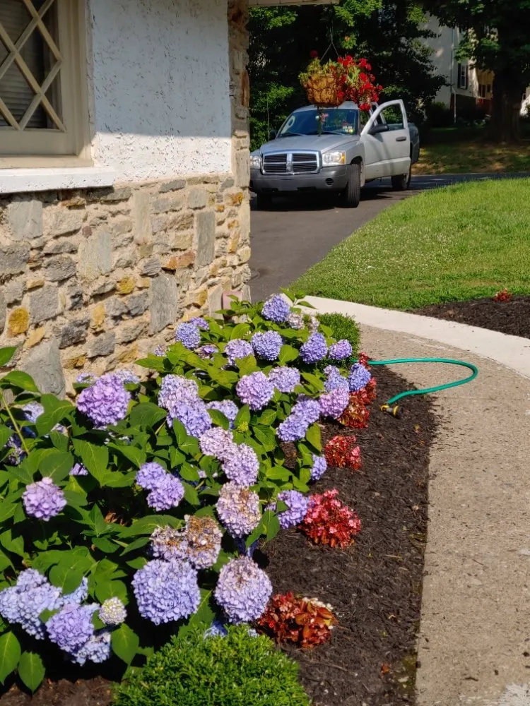 Top-rated yard cleanup service experts serving Jenkintown, PA - Elite Gardens By Natalee