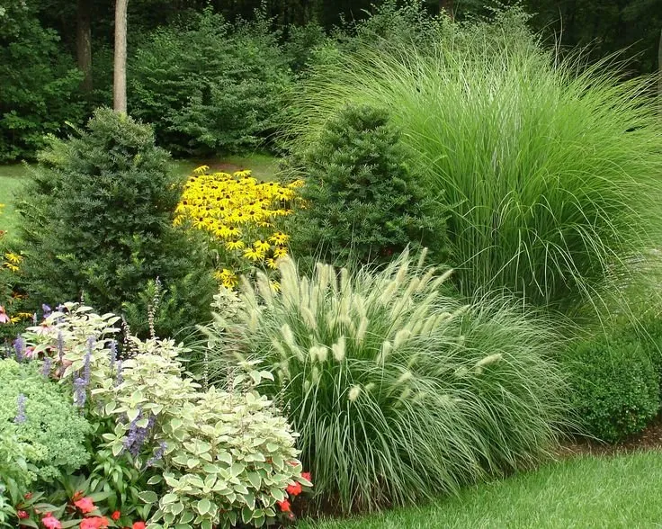 Expert yard cleanup service in Jenkintown, PA by Elite Gardens By Natalee