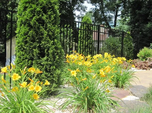 Local landscape installation in Jenkintown, PA by Elite Gardens By Natalee