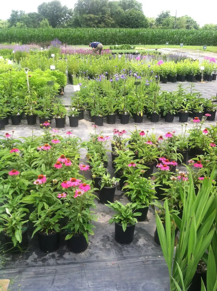 Local garden landscaping in Jenkintown, PA by Elite Gardens By Natalee