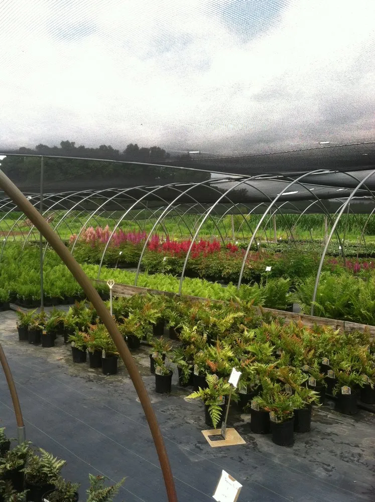 Trusted residential landscaping for year-round maintenance across Jenkintown, PA - Elite Gardens By Natalee