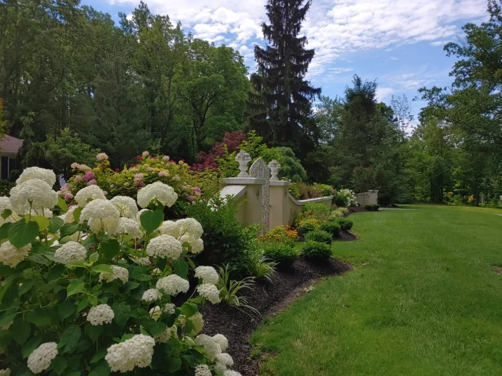 Local outdoor landscaping for residential properties in Jenkintown, PA by Elite Gardens By Natalee