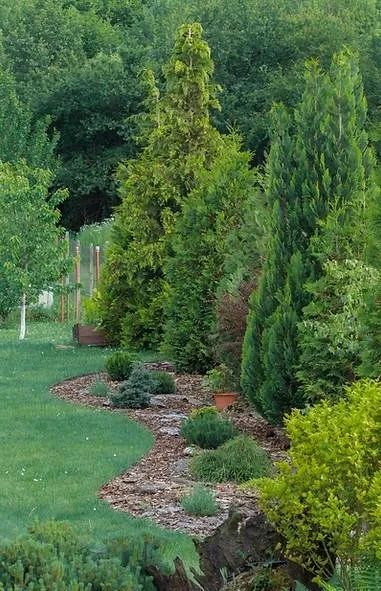 Expert lawn mowing service near you across Apopka, FL - Elite Green