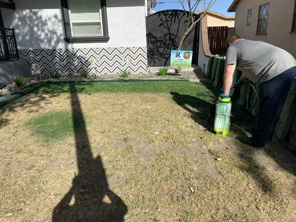 Professional yard cleanup service in Fullerton, CA by Elite Green Lawn Painting