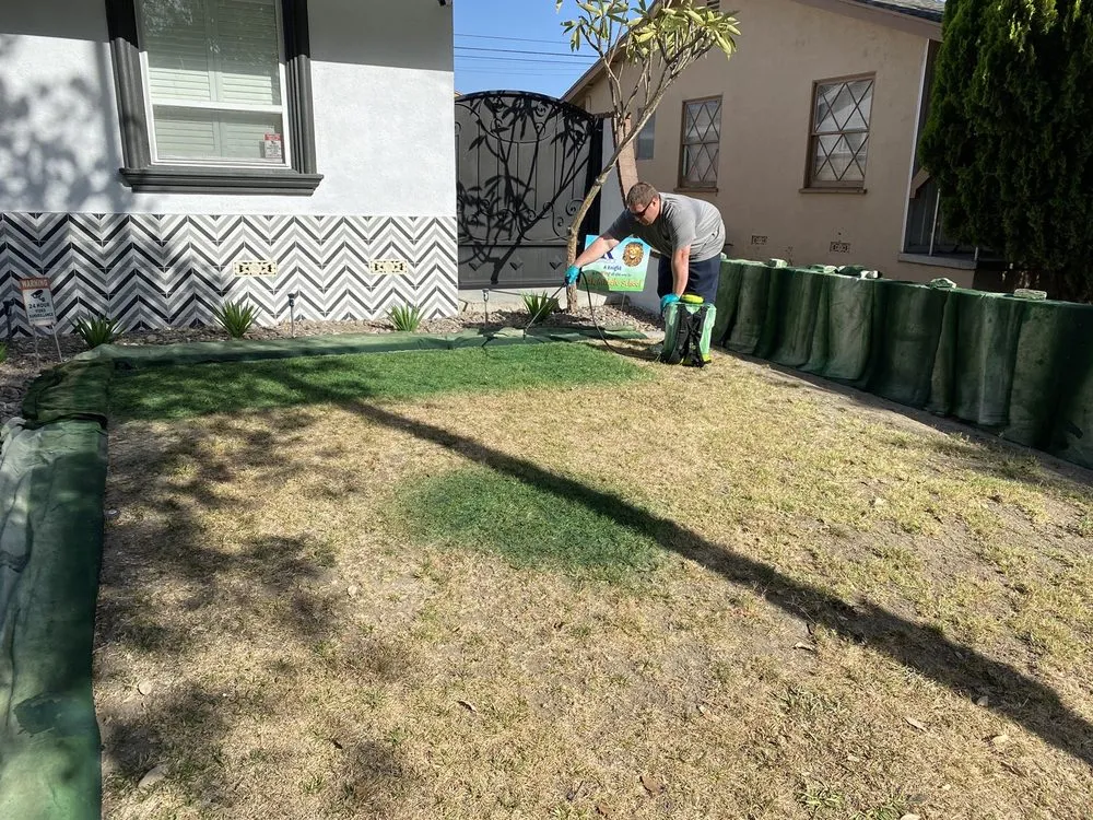 Affordable landscape design in Fullerton, CA by Elite Green Lawn Painting