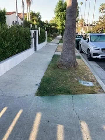 Reliable landscaping services in Fullerton, CA - Elite Green Lawn Painting