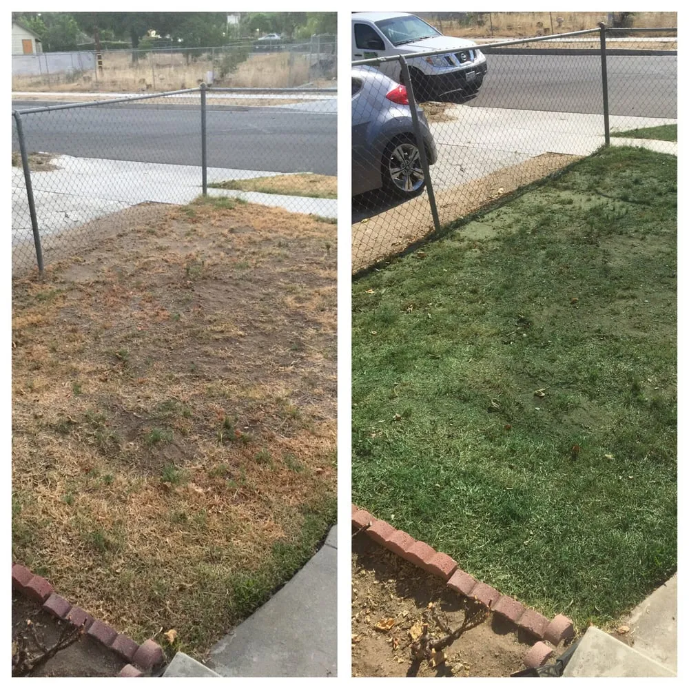 Affordable yard maintenance for beautiful yards across Fullerton, CA - Elite Green Lawn Painting