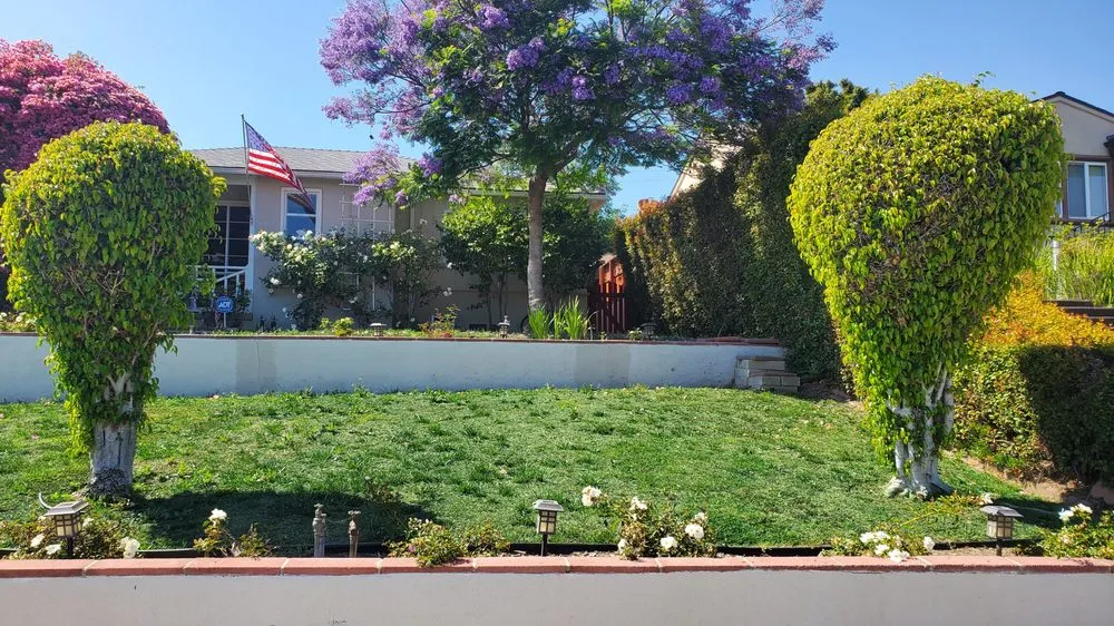 Reliable landscape design for homes across Fullerton, CA - Elite Green Lawn Painting